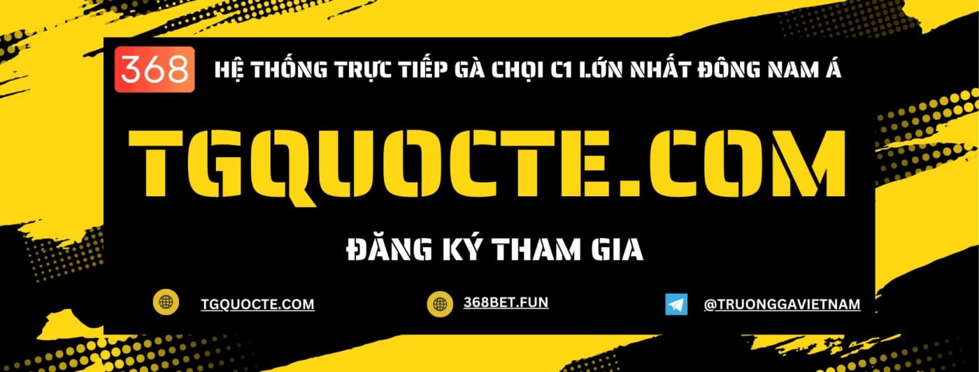 trang web cá cược đá gà gold city
