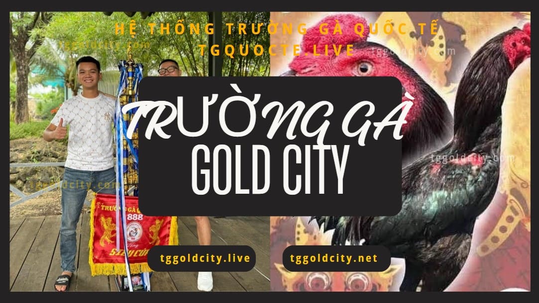 ưu đãi than gia đá gà gold city