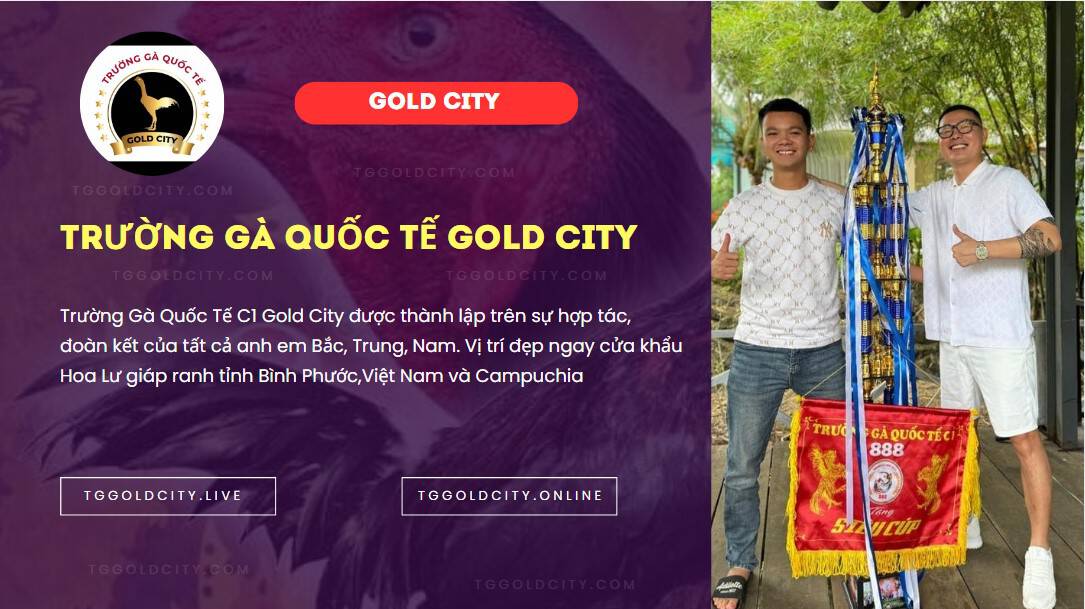 cổ đông trường gà gold city