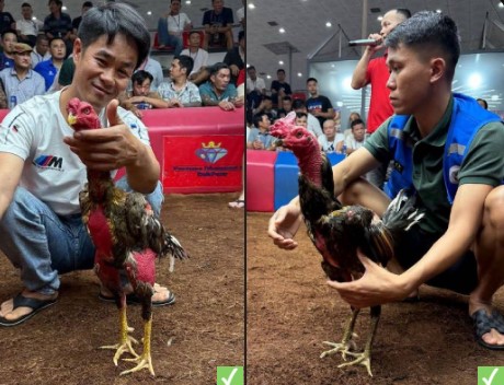 Siêu Cúp 2 Tỷ CLB Việt Thái Và CLB Hoàng Dũng